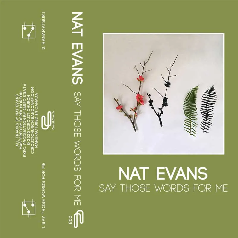 Cover art for the release "Say Those Words For Me" by "Nat Evans"